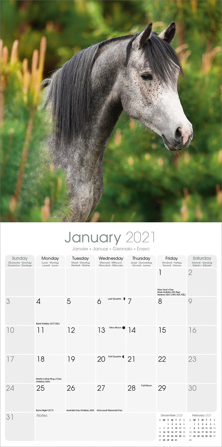 Arabian Horses Calendar, Animal Calendars Pet Prints Inc