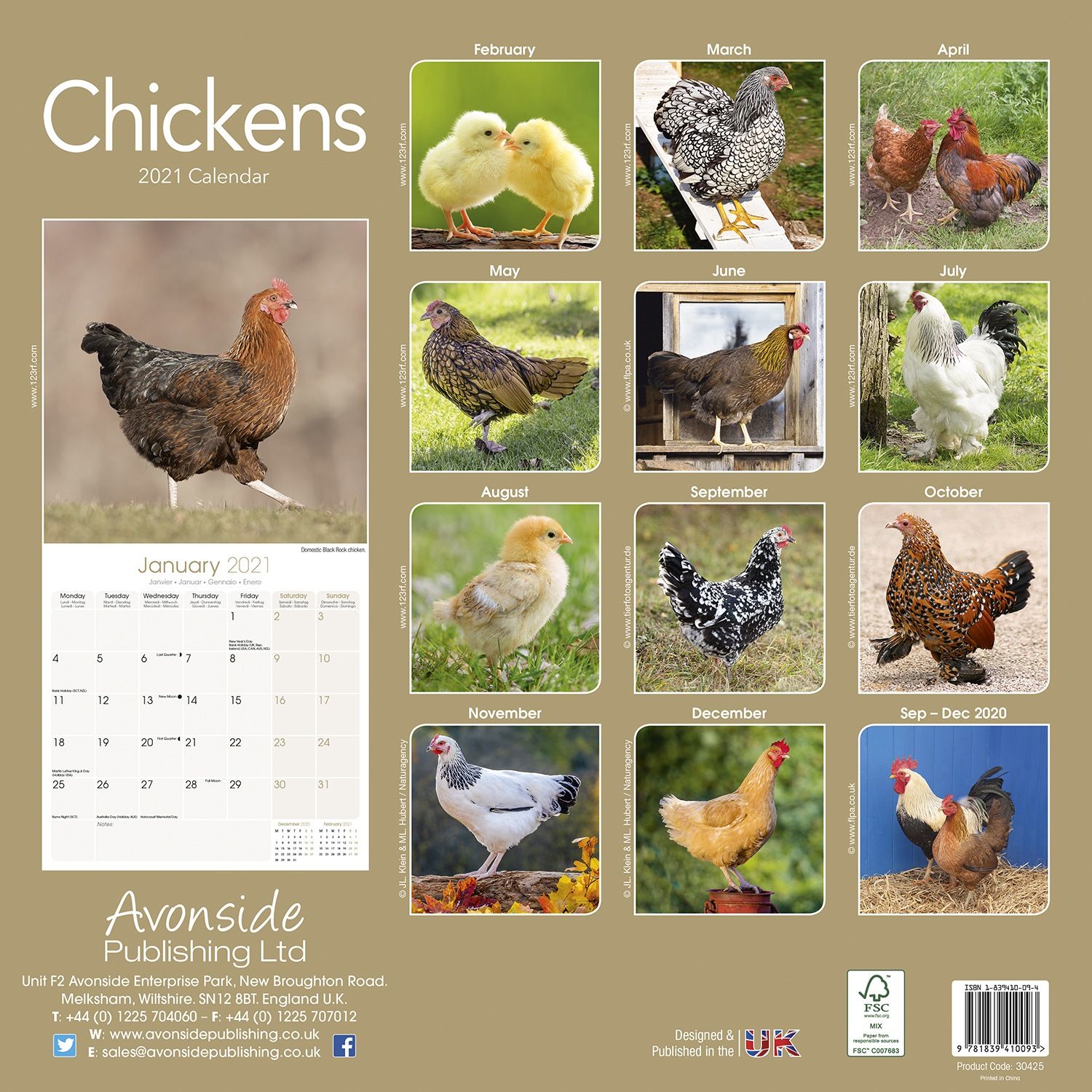 Chickens Calendar Animal Calendars Pet Prints Inc