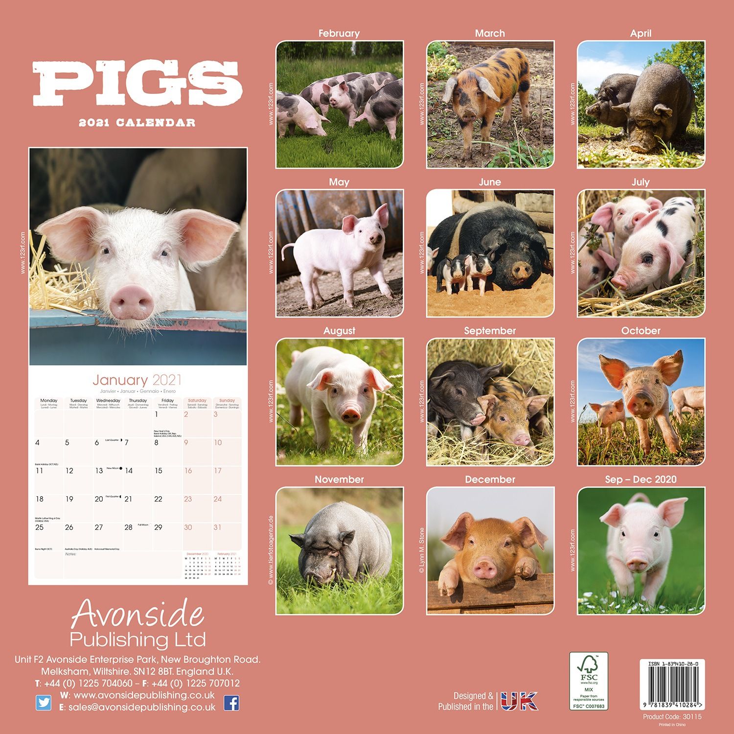 Pigs Calendar Animal Calendars Pet Prints Inc Pigs Calendar Animal Calendars Pet Prints Inc