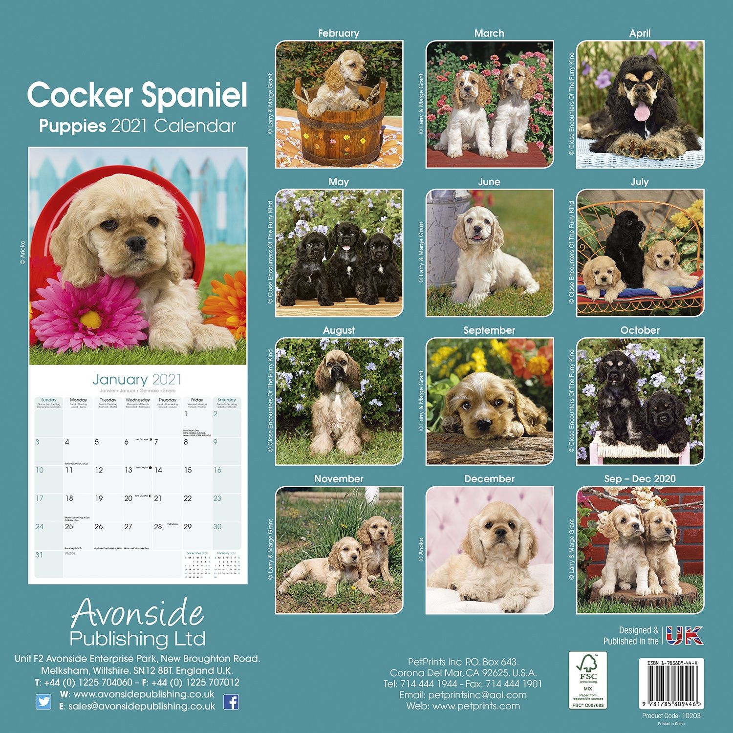 Cocker Spaniel Puppies Calendar Dog Breed Pet Prints Inc